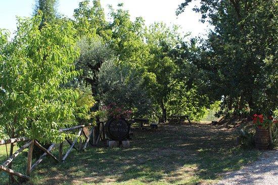 Agriturismo Malafrasca Siena Eksteriør billede